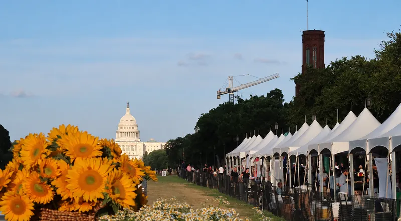 Market tents on the National Mall with the Capitol in the distance